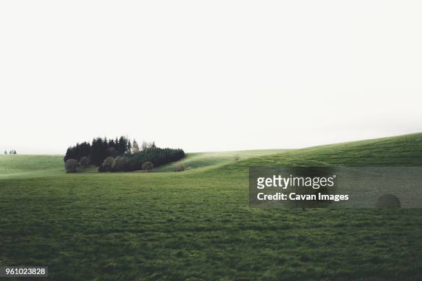 scenic view of green landscape against clear sky - tillamook county fotografías e imágenes de stock