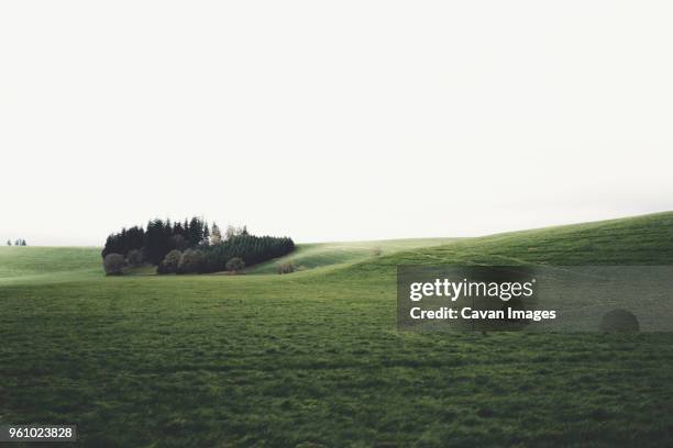 scenic view of green landscape against clear sky - tillamook county stock pictures, royalty-free photos & images