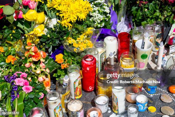 Toronto Van Attack a week later: Close up of candles and flowers. Image taken at Olive Park in the intersection of Finch Avenue and Yonge Street.