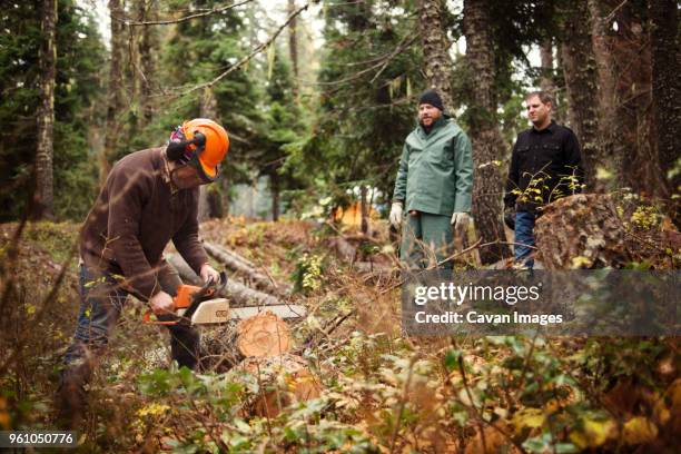 lumberjack sawing tree trunk with motor saw in forest - forest machine stock-fotos und bilder