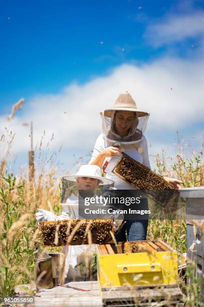 mother and son holding honeycomb frames while standing against cloudy sky at field - apiculture stock pictures, royalty-free photos & images