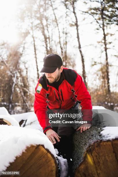 low angle view of carpenter standing by snow covered fallen trees in backyard - arbeiter winter stock-fotos und bilder