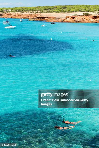 snorkeling or scuba diving at emerald idyllic beach of cala saona from high view angle, formentera coastline in balearic islands, spain - pola damonte stockfoto's en -beelden