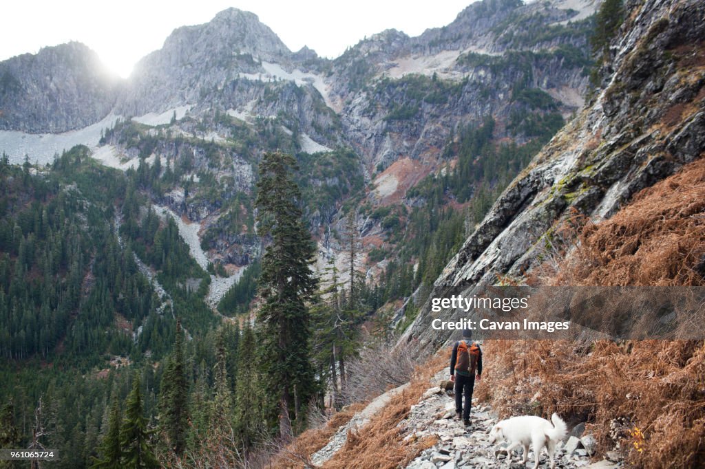 Rear view of hiker and dog walking on mountain