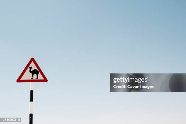 low angle view of camel crossing sign against clear sky - animal crossing foto e immagini stock