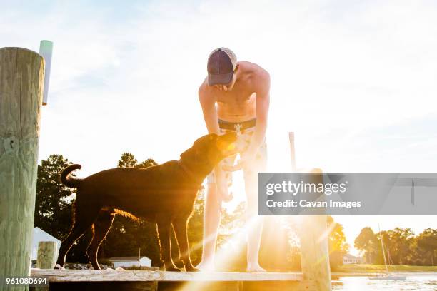 shirtless young man and dog playing with ball on pier during summer - carrying in mouth stock pictures, royalty-free photos & images