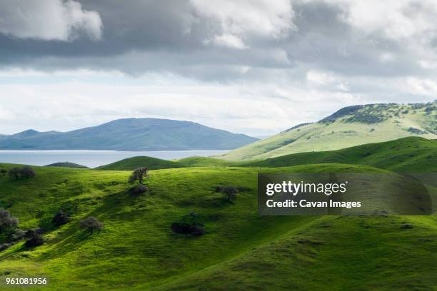 scenic view of green landscape by river against cloudy sky - hollister foto e immagini stock