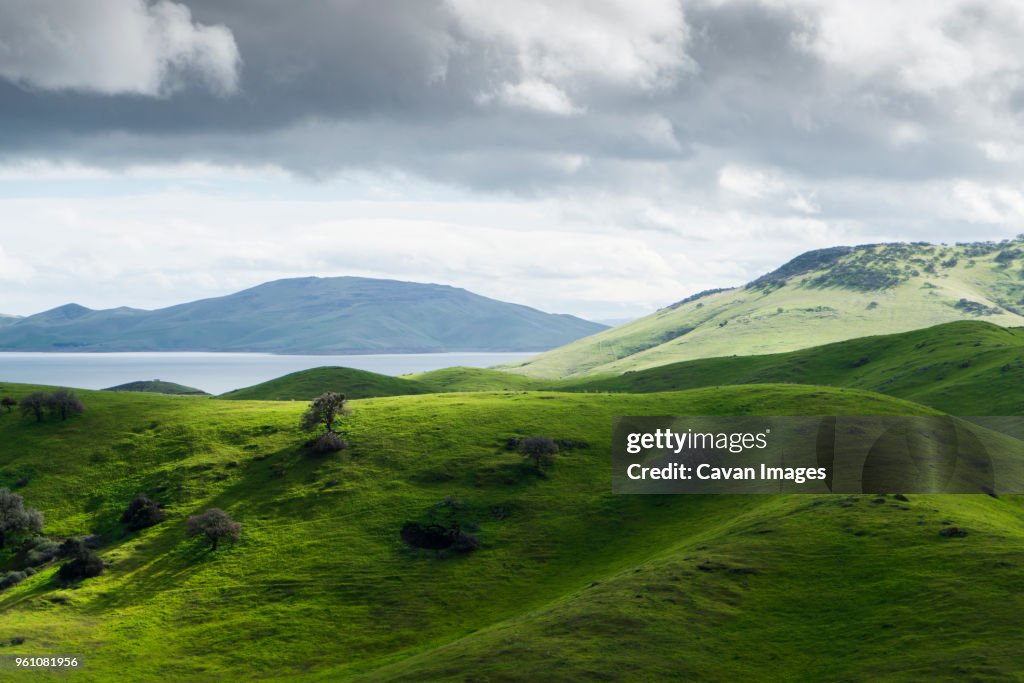Scenic view of green landscape by river against cloudy sky