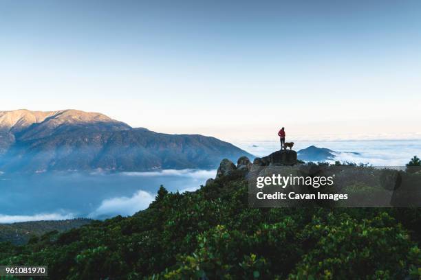 distant view of woman with dog standing on top of mountain by cloudscape - distance stock pictures, royalty-free photos & images