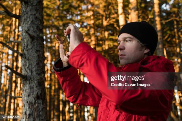 hiker photographing through mobile phone in forest during autumn - olympic peninsula stock pictures, royalty-free photos & images