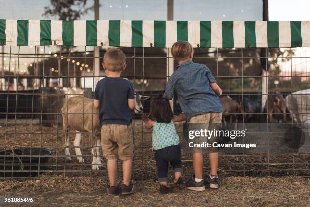 670 Animal Rear View Stock Photos, High-Res Pictures, and Images ...