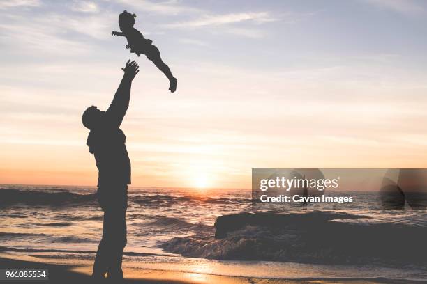 side view of silhouette father throwing daughter while standing at beach against sky during sunset - genderblend2015 stock pictures, royalty-free photos & images