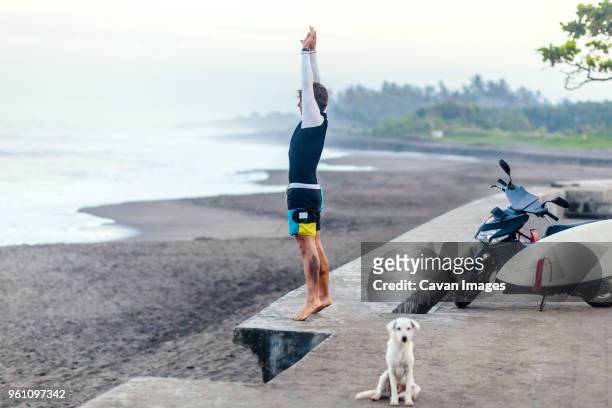 full length of man stretching while standing on retaining wall by dog at beach - mare moto foto e immagini stock