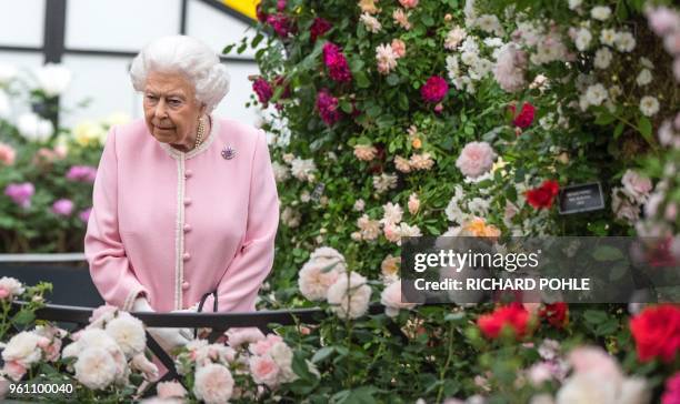 Britain's Queen Elizabeth II looks at a display of roses on the Peter Beale stand as she visits the 2018 Chelsea Flower Show in London on May 21,...