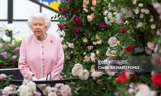 Britain's Queen Elizabeth II looks at a display of roses on the Peter Beale stand as she visits the 2018 Chelsea Flower Show in London on May 21,...