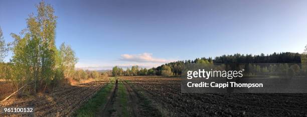 tilled farm land in milan, new hampshire usa during may 2018 - loam fotografías e imágenes de stock