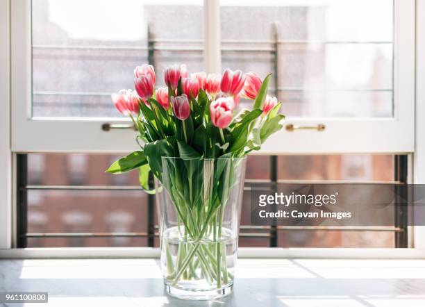 fresh tulips in vase on window - 花瓶 ストックフォトと画像