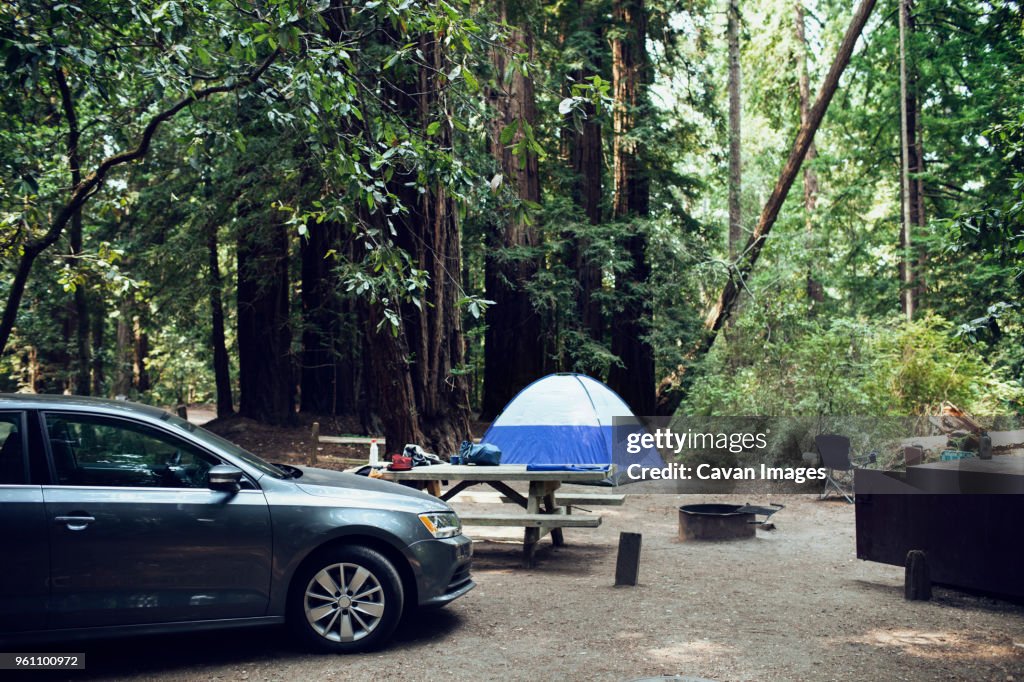 Car parked by wooden table in forest