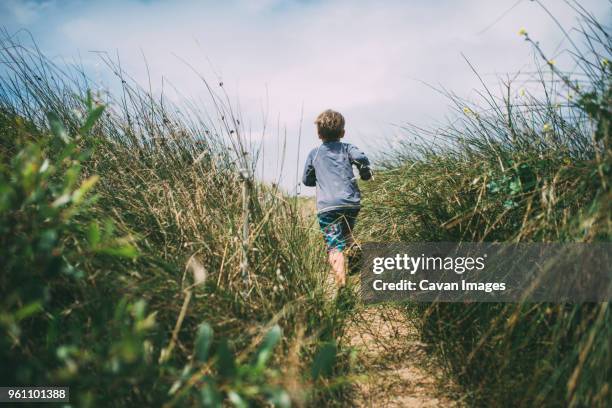 rear view of boy running on field amidst plants at a_o nuevo state park - pescadero stock pictures, royalty-free photos & images