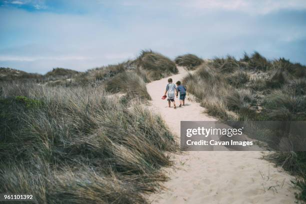 rear view of brothers walking on desert amidst plants at a_o nuevo state park - pescadero stock pictures, royalty-free photos & images