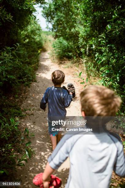 high angle view of brothers carrying shoes while walking on field amidst plants at a_o nuevo state park - pescadero stock pictures, royalty-free photos & images