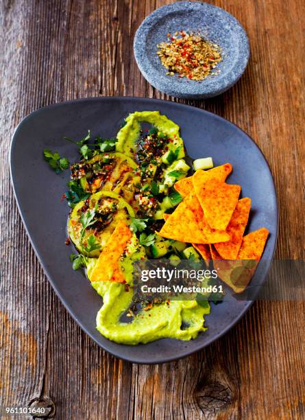 guacamole with grilled green tomatoes, cucumber and tortilla chips - slätpersilja bildbanksfoton och bilder