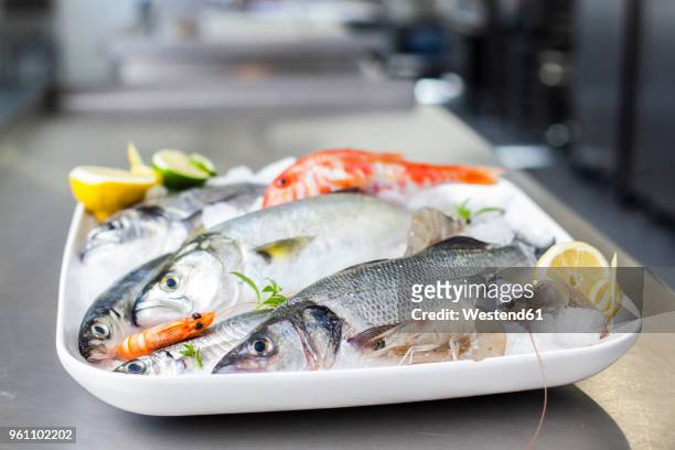 platter with raw fish and seafood - seafood platter bildbanksfoton och bilder
