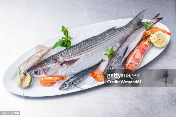 platter with raw fish and seafood - seafood platter stock pictures, royalty-free photos & images