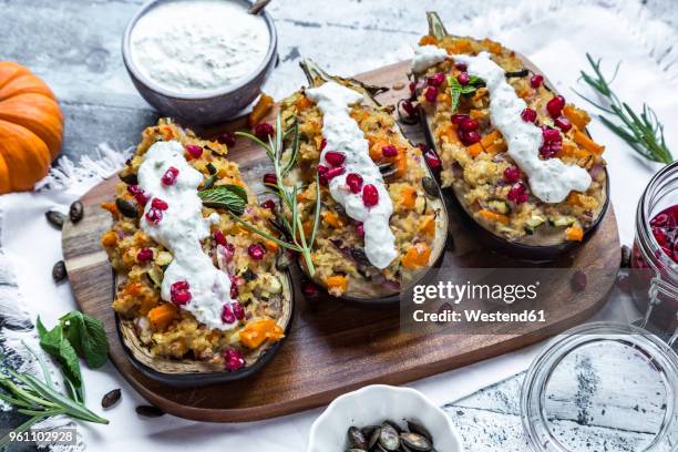 filled aubergine, bulgur, pumpkin, pomegranate, zucchini, rosmary, tzaziki, mint, vegetables - eggplant imagens e fotografias de stock