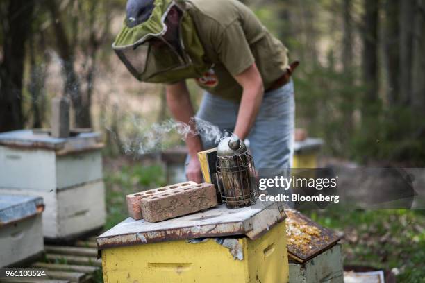 Smoker, used to calm the bees, sits on top of a bee hive while a worker inspects a hive at the Pioneer Brand Honey farm in Schomberg, Ontario,...