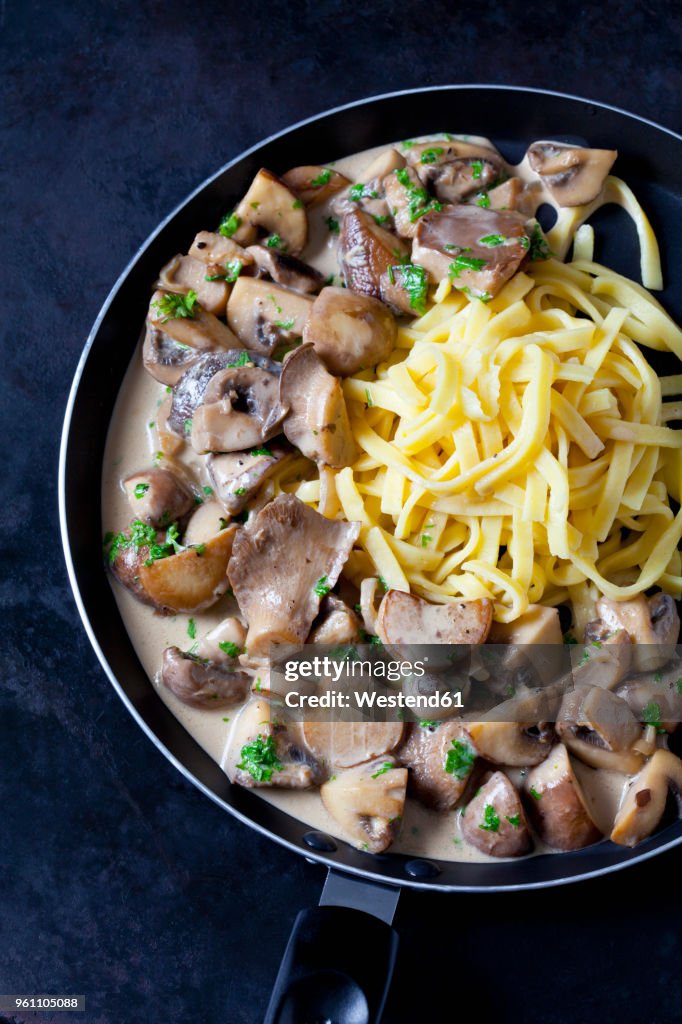 Champignons and king trumpet mushrooms in cream sauce with cheese stripes