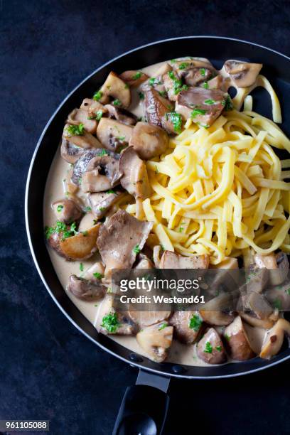 champignons and king trumpet mushrooms in cream sauce with cheese stripes - flat leaf parsley - fotografias e filmes do acervo