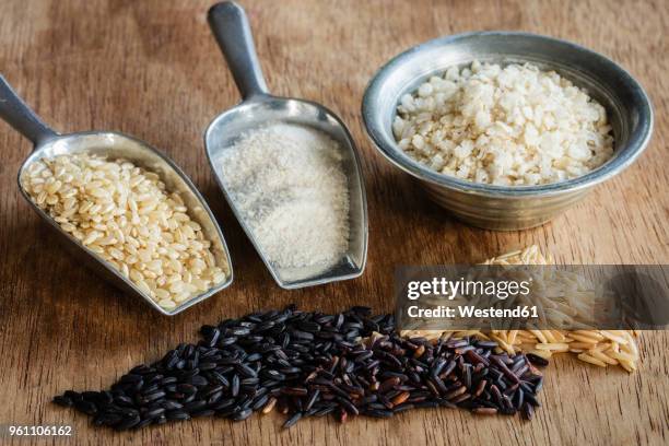 various sorts of rice and rice products - brown rice stock pictures, royalty-free photos & images
