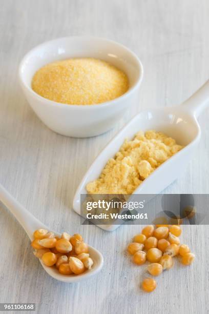 corn, corn semolina and corn meal - farinha de milho imagens e fotografias de stock