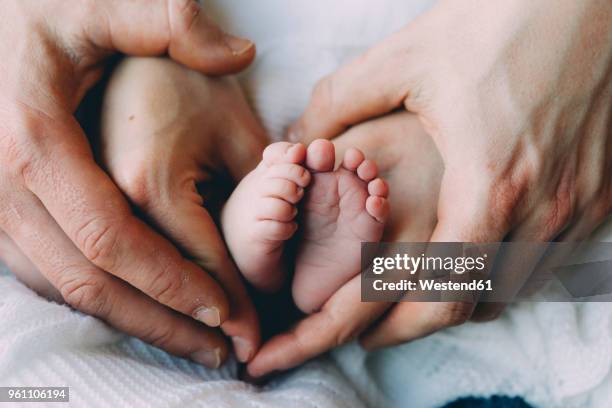 father's and mother's hands holding baby's feet - couple holding hands fotografías e imágenes de stock