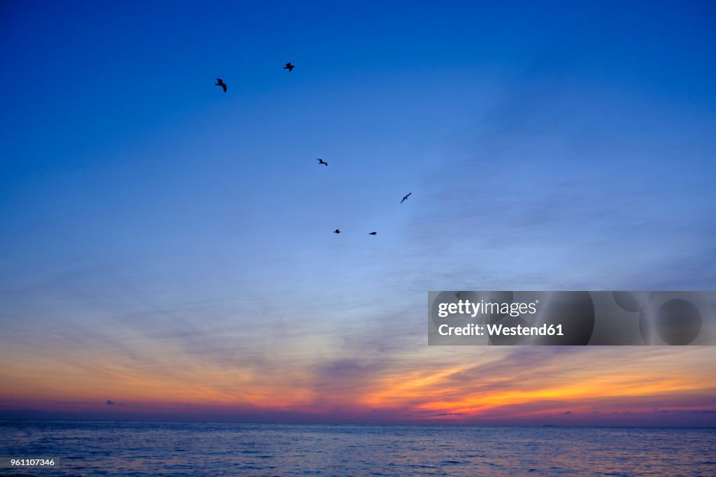 Italy, Liguria, Riviera di Ponente, Gulf of Genoa, Noli, sunrise at beach