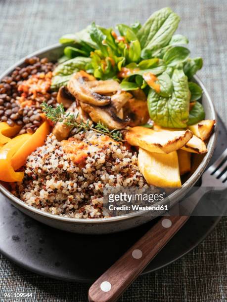 lentil quinoa bowl, lentils, quinoa, bell pepper, roasted parsnips, field salad, mushrooms, spicy vegan sauce - cooked mushrooms stock-fotos und bilder