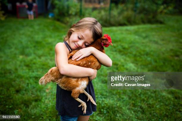 smiling girl with eyes closed holding hen while standing in yard - affectionate fotografías e imágenes de stock
