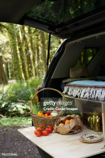 fresh vegetables in open car trunk of sports utility vehicle - lago crescent fotografías e imágenes de stock