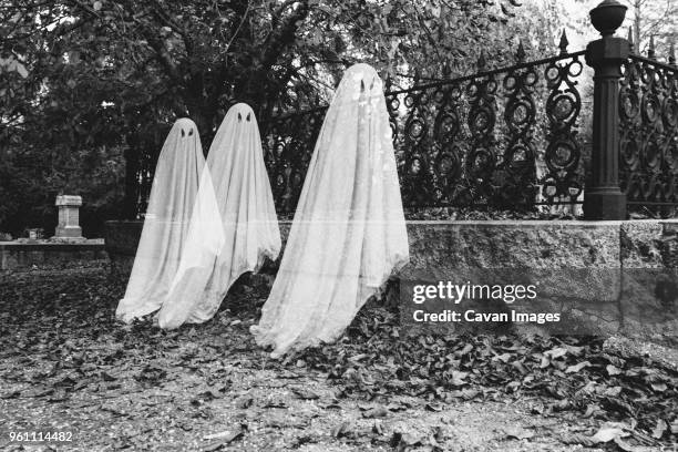 double exposure of boys in ghost costumes at cemetery during halloween - fantasma foto e immagini stock