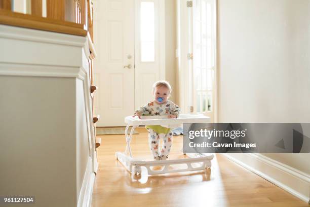 portrait of cute toddler sucking pacifier while standing in baby walker at home - baby walker stock-fotos und bilder