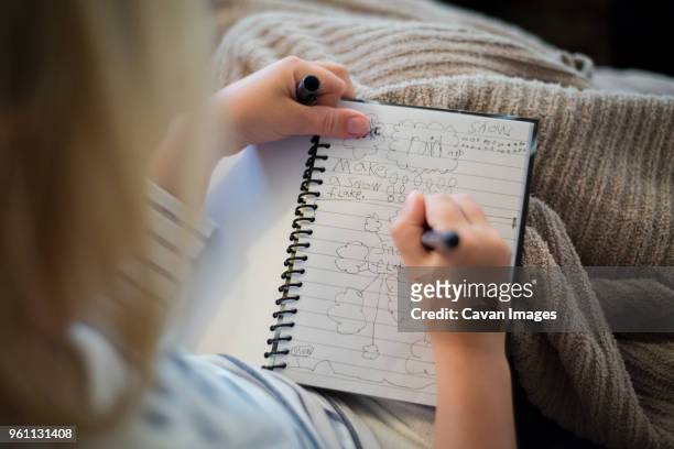 Girl Holding Diary Photos et images de collection - Getty Images