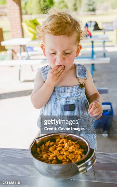 cute boy wearing bib overalls while eating crackers from bowl - bib overalls stockfoto's en -beelden