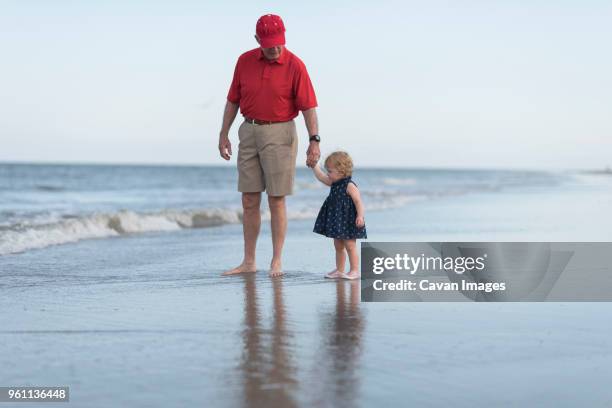 grandfather with granddaughter while standing at beach against sky - illinois family stock pictures, royalty-free photos & images