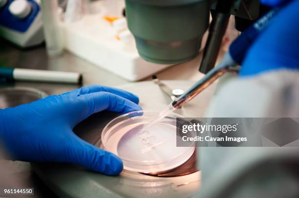 Lab Microscope Top View 615 Microscope Top View Stock Photos, High-Res Pictures, and Images ...