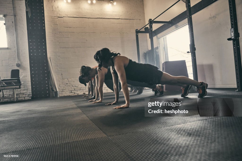 People exercising in gym, push ups