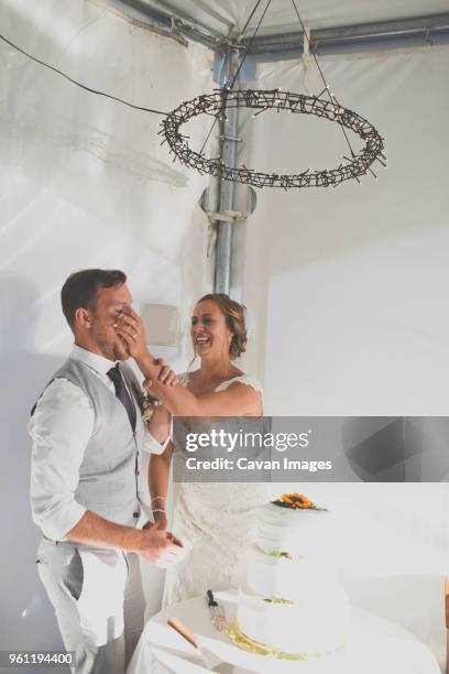 playful bride putting cake on bridegrooms face at wedding reception - cake face imagens e fotografias de stock