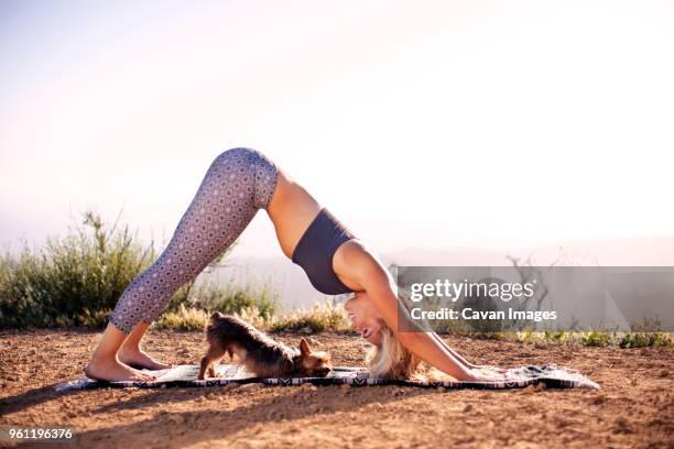 young woman doing yoga with dog on field against sky - dog yoga stock pictures, royalty-free photos & images