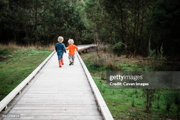 rear view of brothers walking on boardwalk at field - boardwalk australia stock pictures, royalty-free photos & images