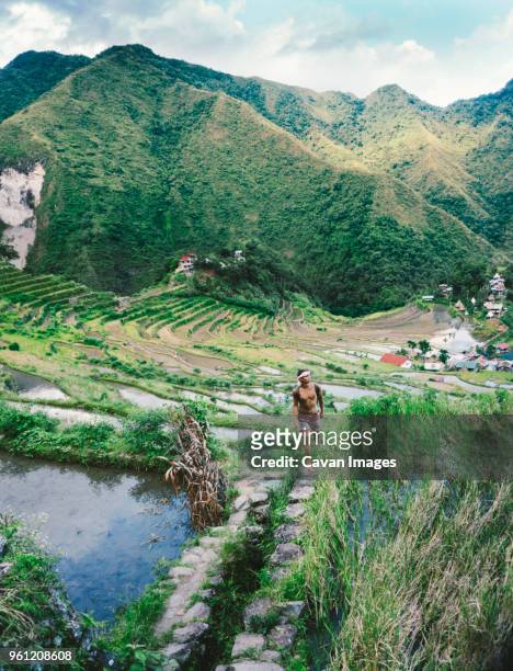 high angle view of man walking on pathway against mountain - ifugao province stock pictures, royalty-free photos & images